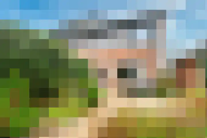 Beukenhout 72 Houten thumbnail 20