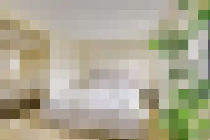 Beukenhout 72 Houten thumbnail 24