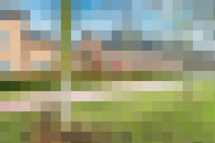 Beukenhout 72 Houten thumbnail 34