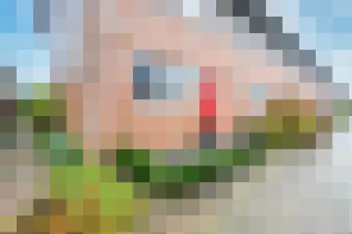 Beukenhout 72 Houten thumbnail 37