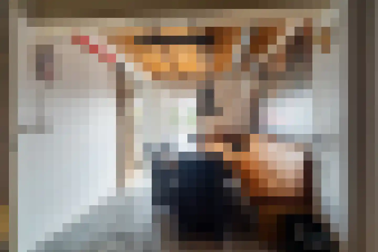 Beukenkampstraat 2 Werkendam thumbnail 33