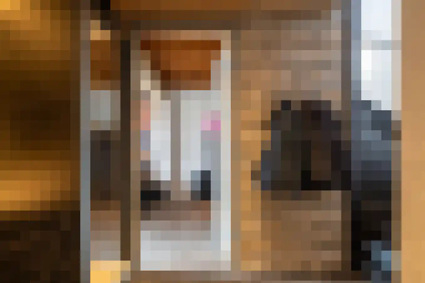 Beukenkampstraat 2 Werkendam thumbnail 35