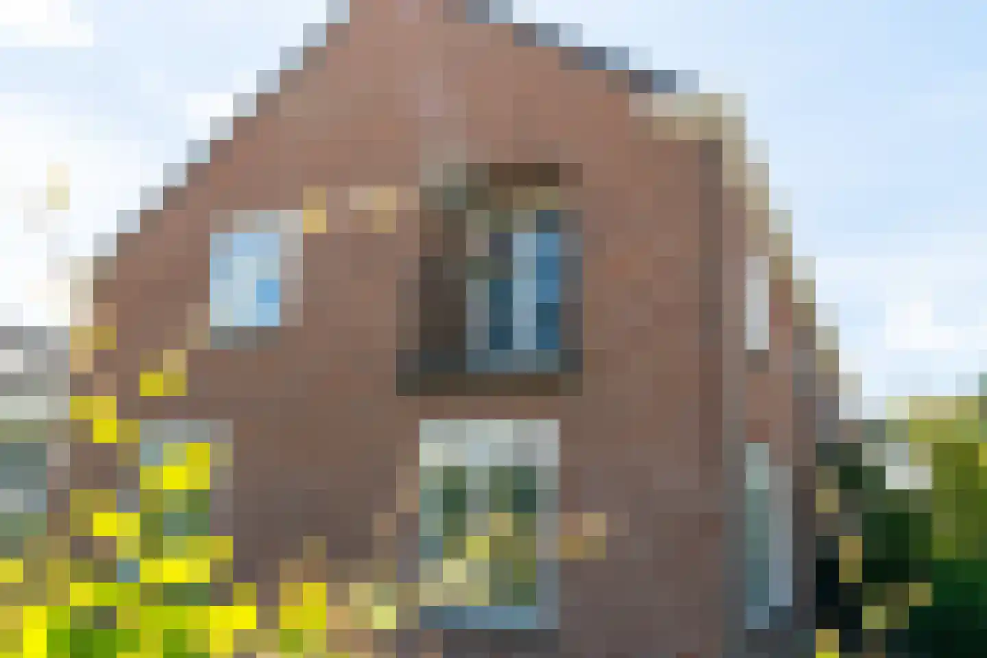 Beukenkampstraat 2 Werkendam thumbnail 5