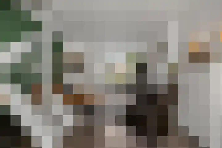 Beukenkampstraat 28 Den Helder thumbnail 4