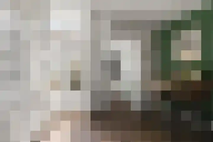 Beukenkampstraat 28 Den Helder thumbnail 6