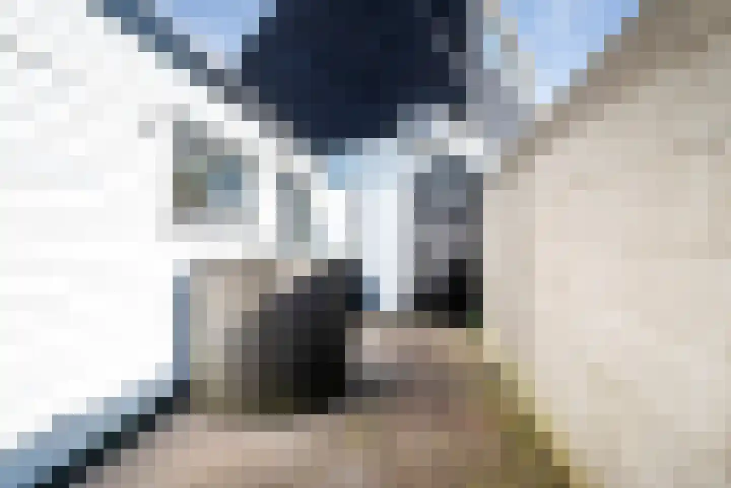 Beukenkampstraat 37 Den Helder thumbnail 21