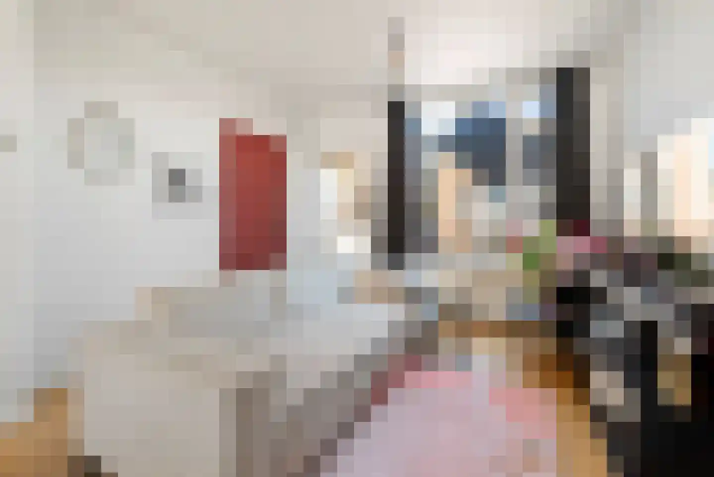Beukenkampstraat 37 Den Helder thumbnail 9