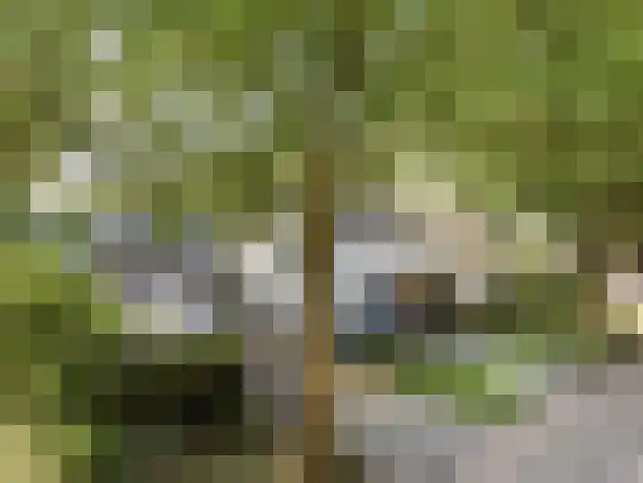 Beukenlaan 1 in Rosmalen
