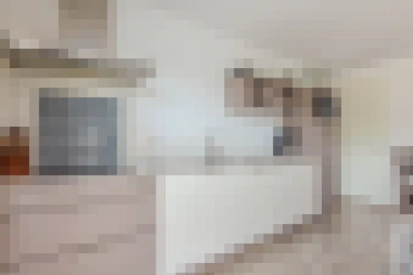 Beukenlaan 1 Bergen op Zoom thumbnail 8