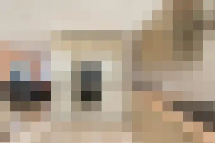 Beukenlaan 1 Dordrecht thumbnail 21