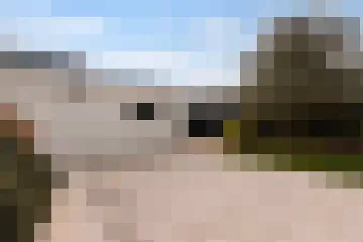 Beukenlaan 1 Dordrecht thumbnail 37