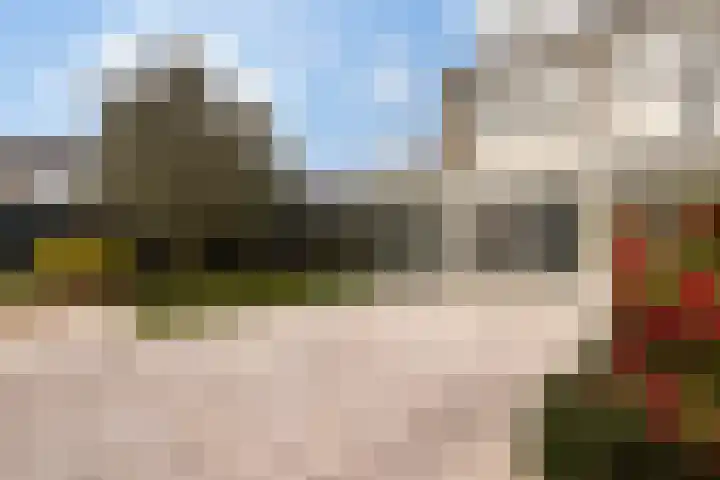 Beukenlaan 1 Dordrecht thumbnail 38