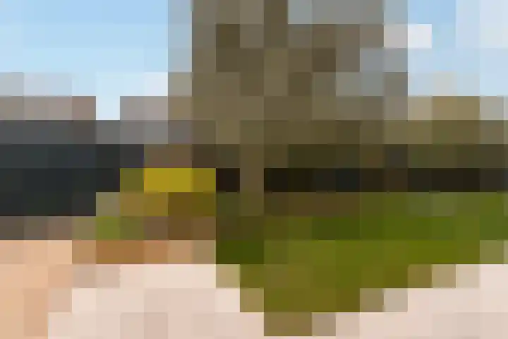 Beukenlaan 1 Dordrecht thumbnail 39