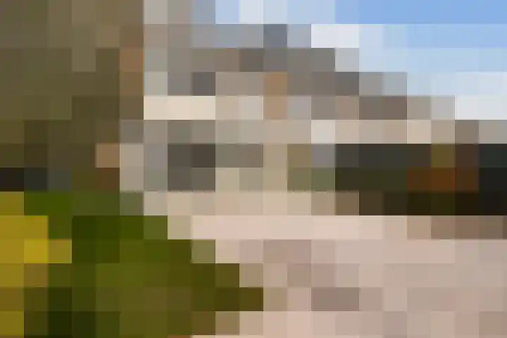 Beukenlaan 1 Dordrecht thumbnail 4