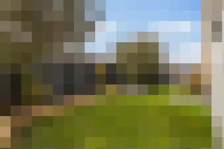 Beukenlaan 1 Dordrecht thumbnail 43