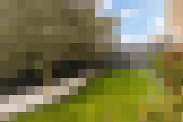 Beukenlaan 1 Dordrecht thumbnail 45