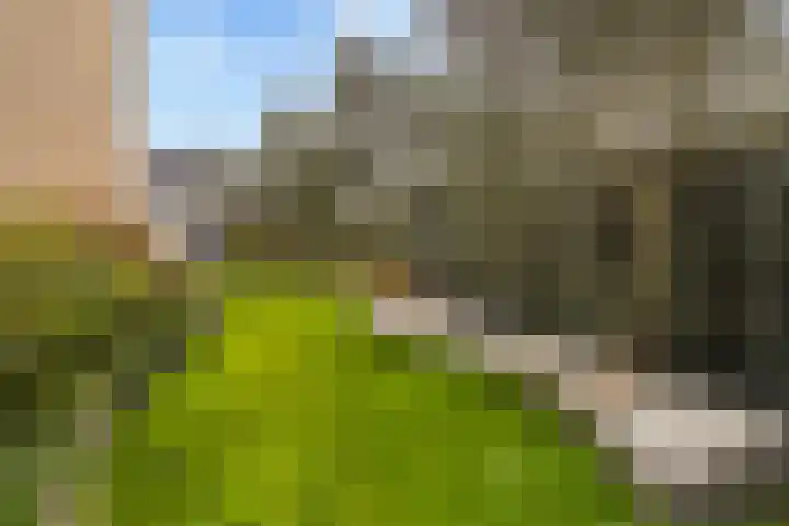 Beukenlaan 1 Dordrecht thumbnail 46