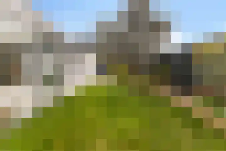 Beukenlaan 1 Dordrecht thumbnail 47