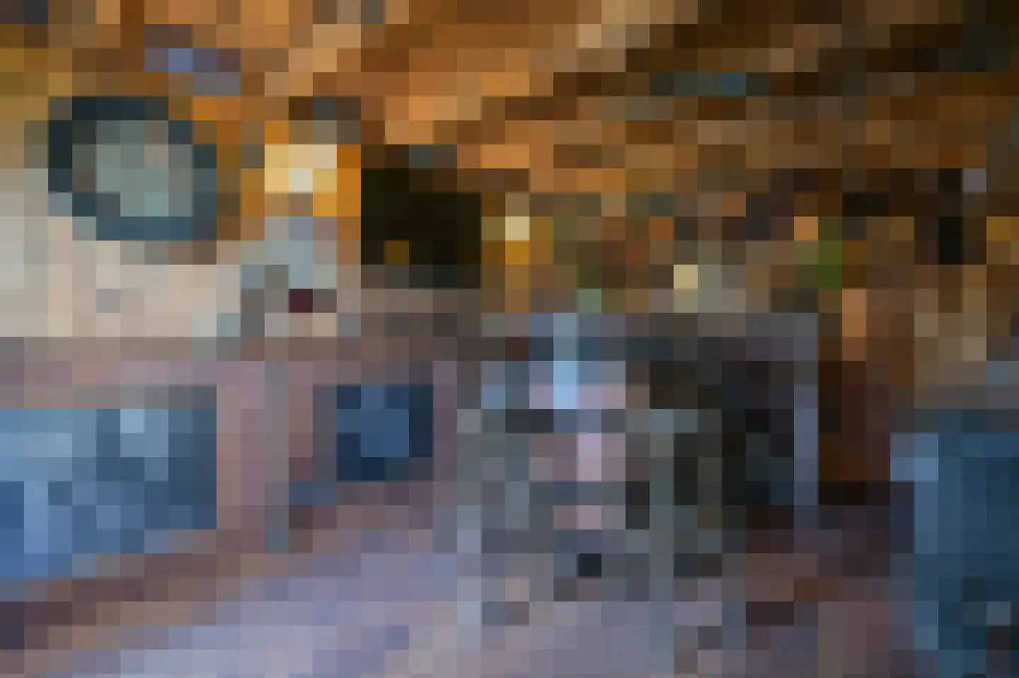 Beukenlaan 1 Garderen thumbnail 40