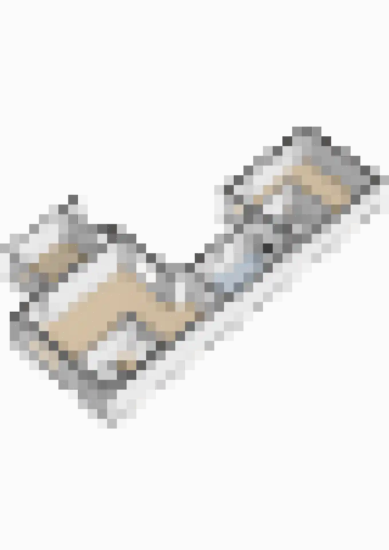 Beukenlaan 1 Garderen thumbnail 53