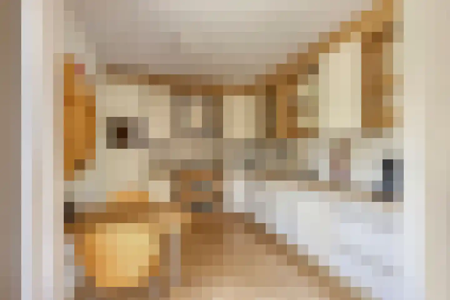 Beukenlaan 1 Heerenveen thumbnail 16