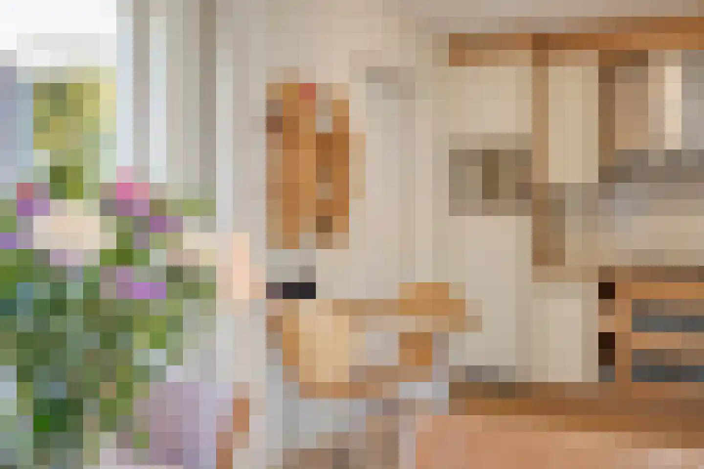 Beukenlaan 1 Heerenveen thumbnail 17