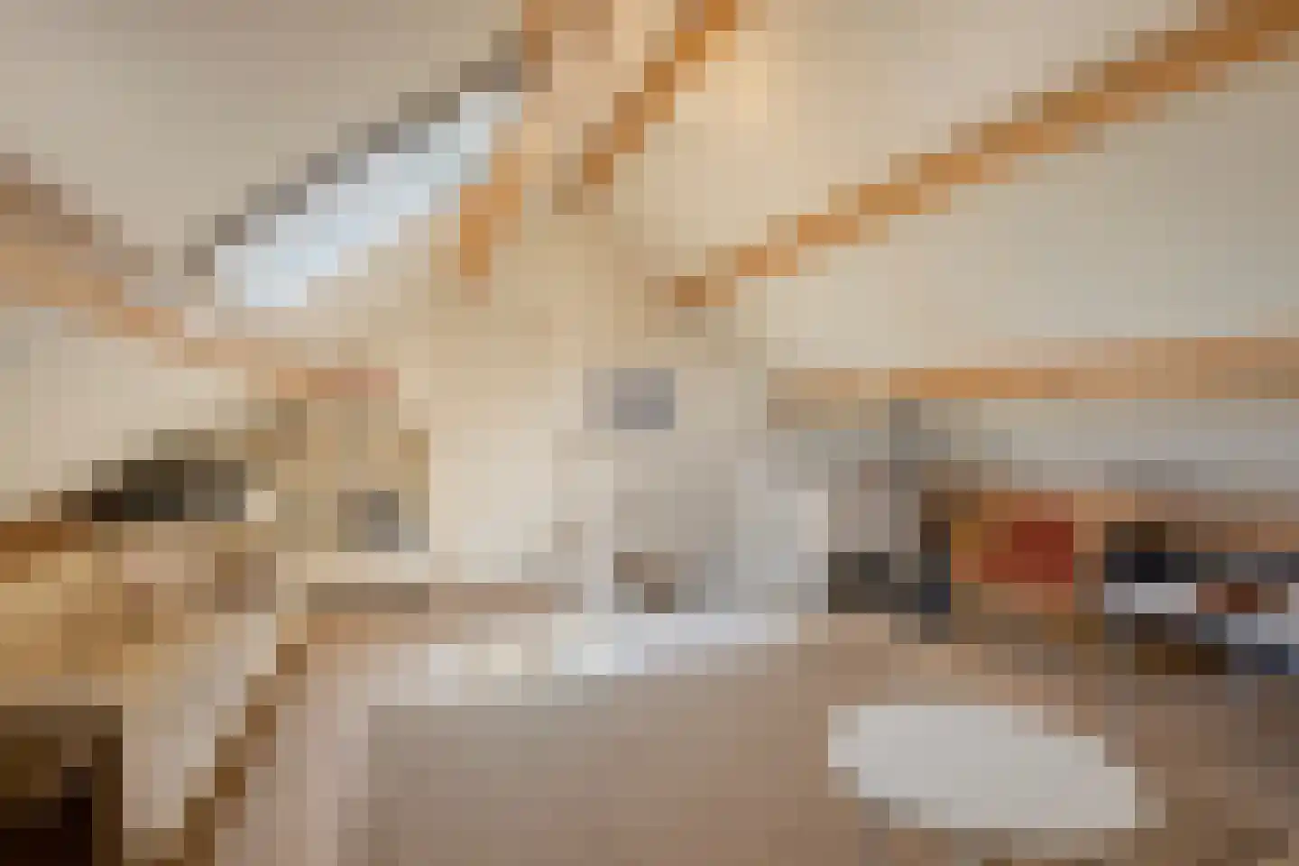 Beukenlaan 1 Heerenveen thumbnail 28