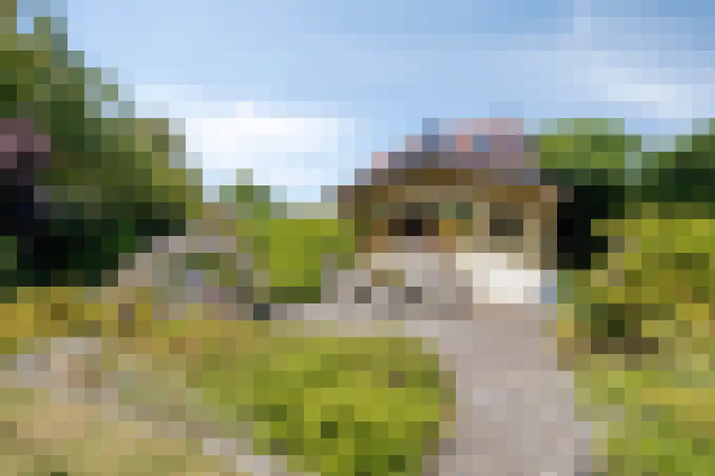 Beukenlaan 1 Heerenveen thumbnail 30
