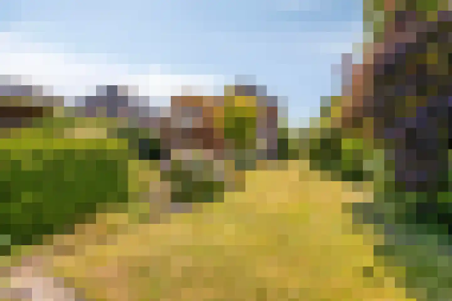 Beukenlaan 1 Heerenveen thumbnail 31