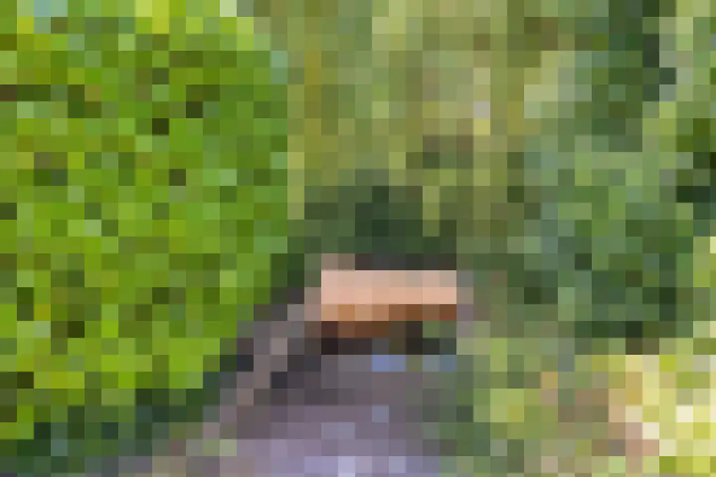 Beukenlaan 1 Heerenveen thumbnail 32