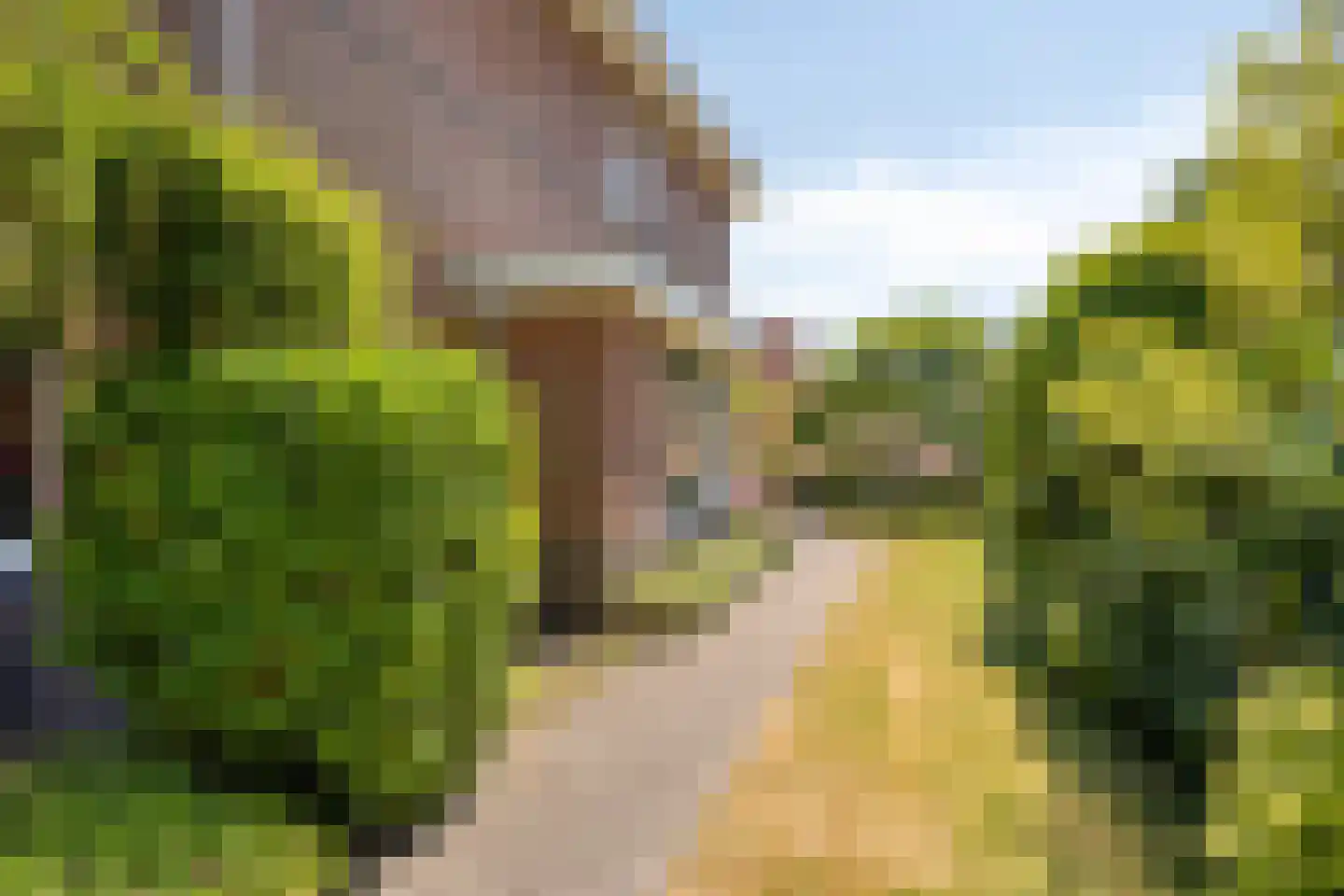 Beukenlaan 1 Heerenveen thumbnail 8