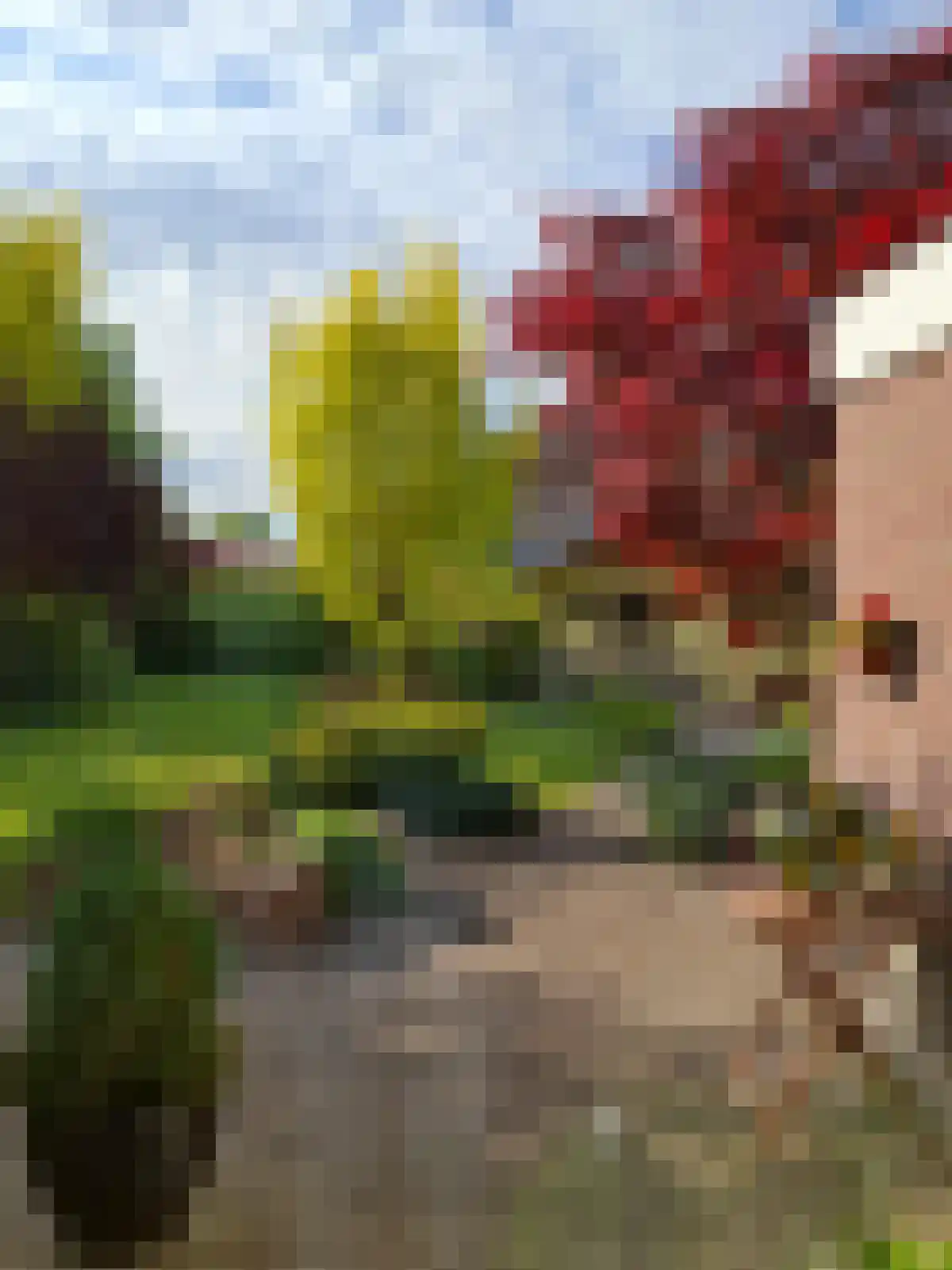 Beukenlaan 1 Heerenveen thumbnail 9