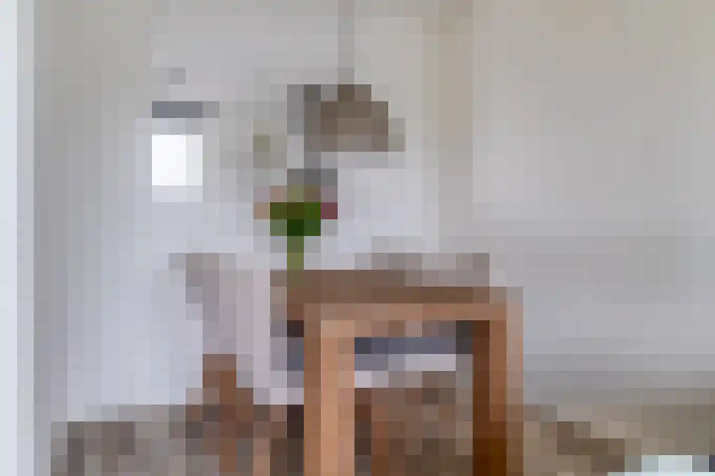 Beukenlaan 1 L Spijkenisse thumbnail 19