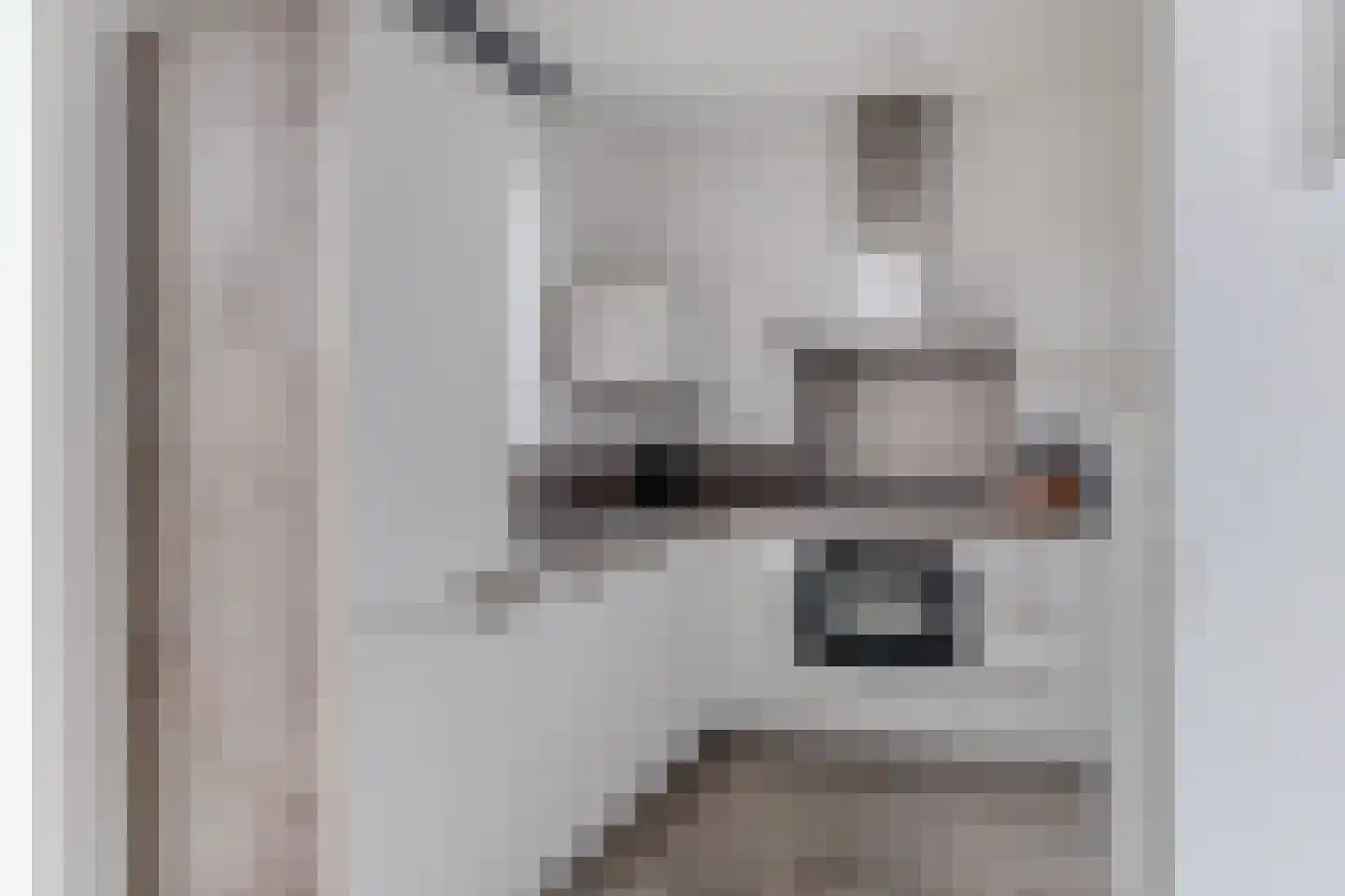 Beukenlaan 1 L Spijkenisse thumbnail 20