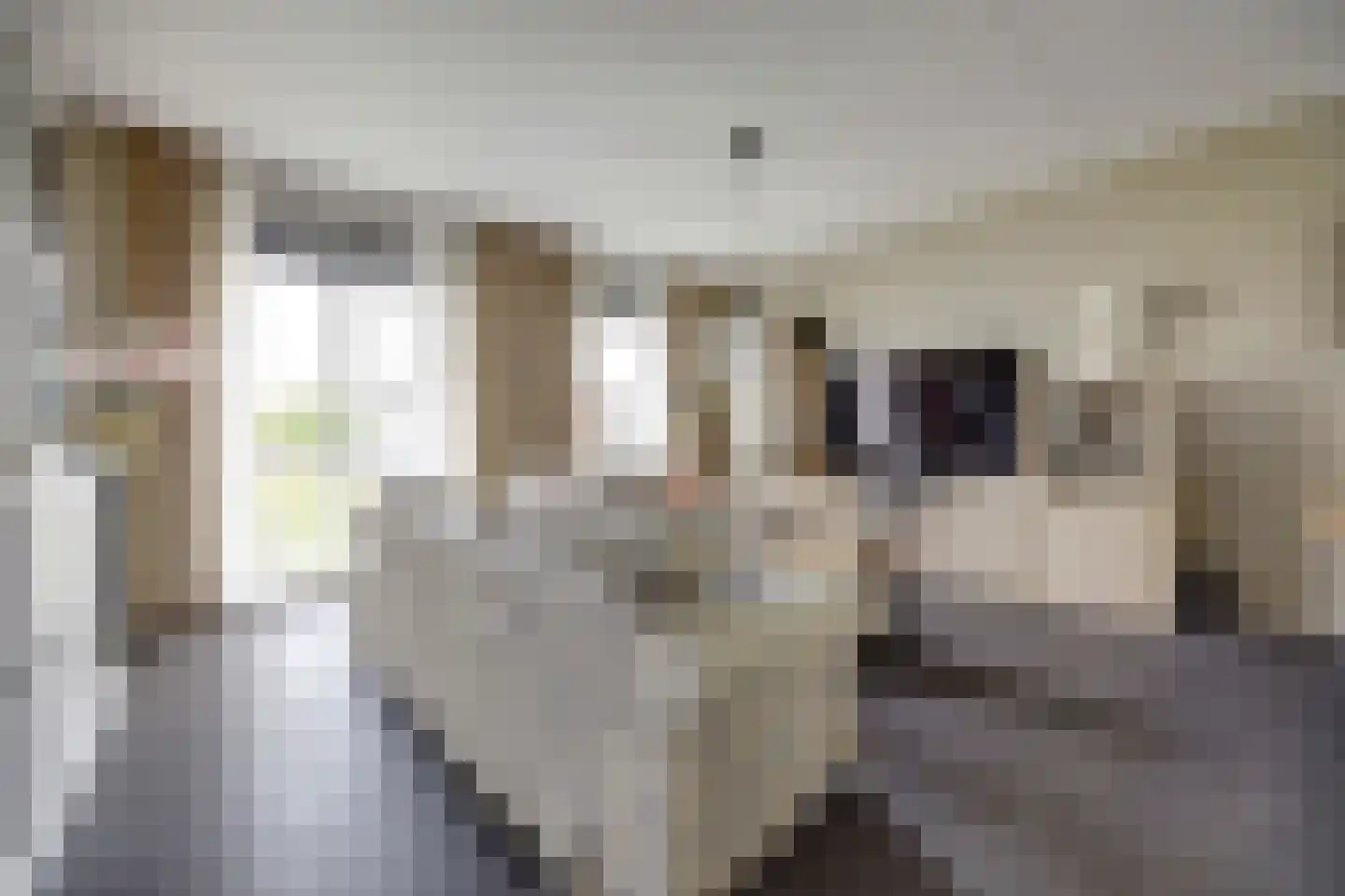 Beukenlaan 1 P Spijkenisse thumbnail 10