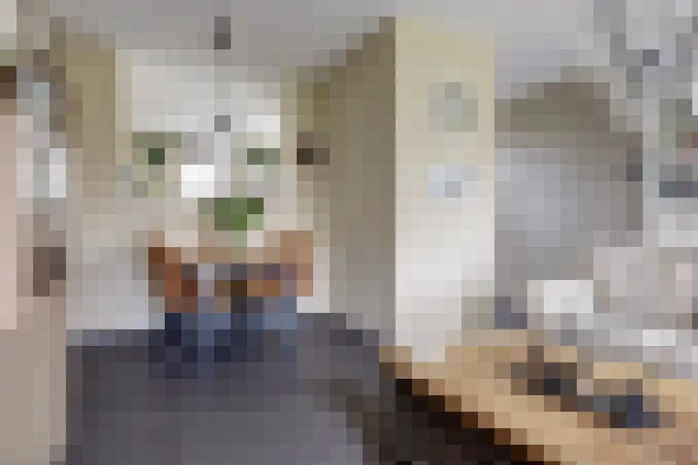 Beukenlaan 1 P Spijkenisse thumbnail 11