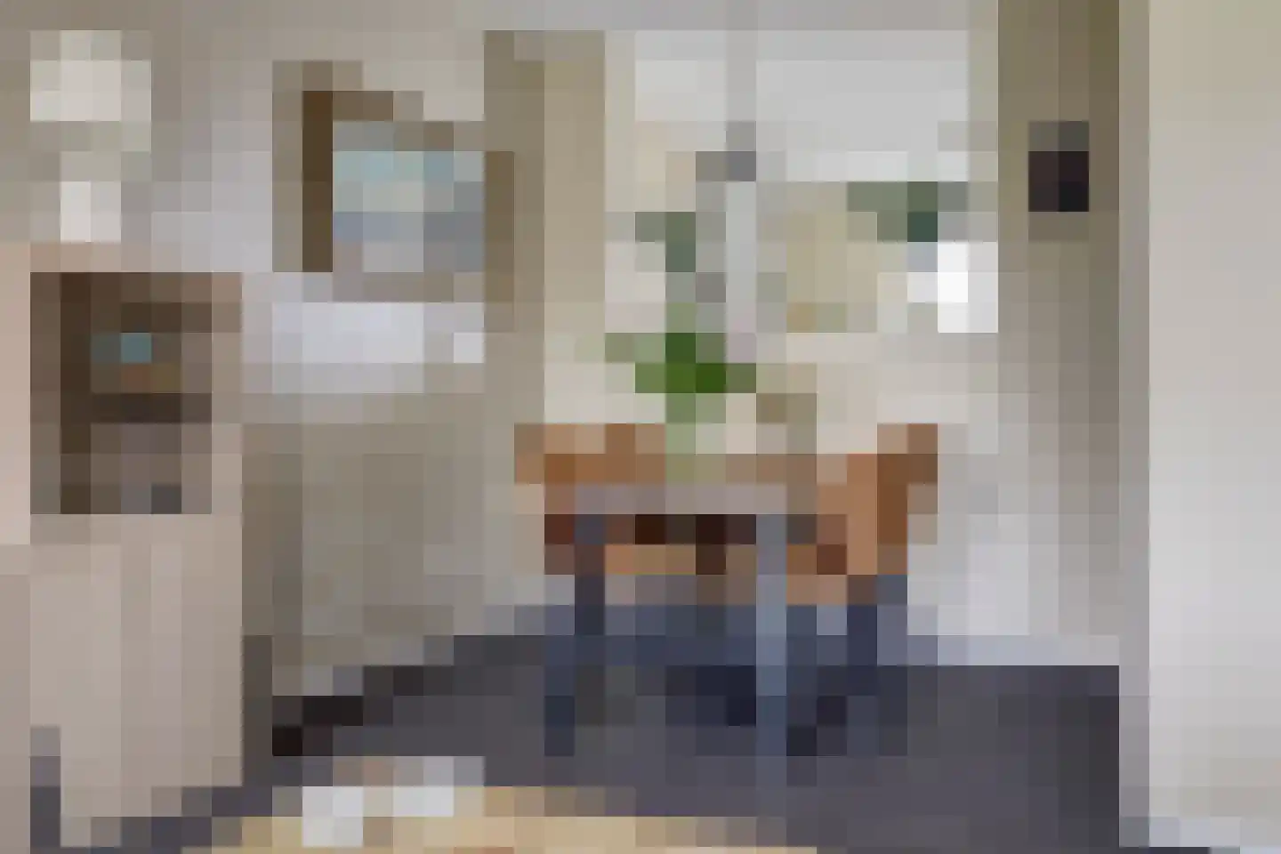 Beukenlaan 1 P Spijkenisse thumbnail 12