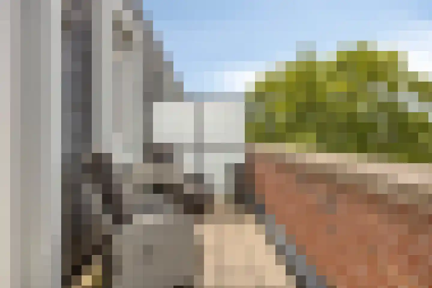 Beukenlaan 1 P Spijkenisse thumbnail 14
