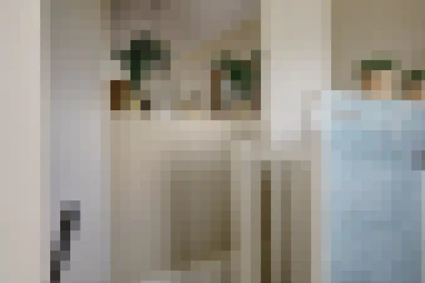 Beukenlaan 1 P Spijkenisse thumbnail 14