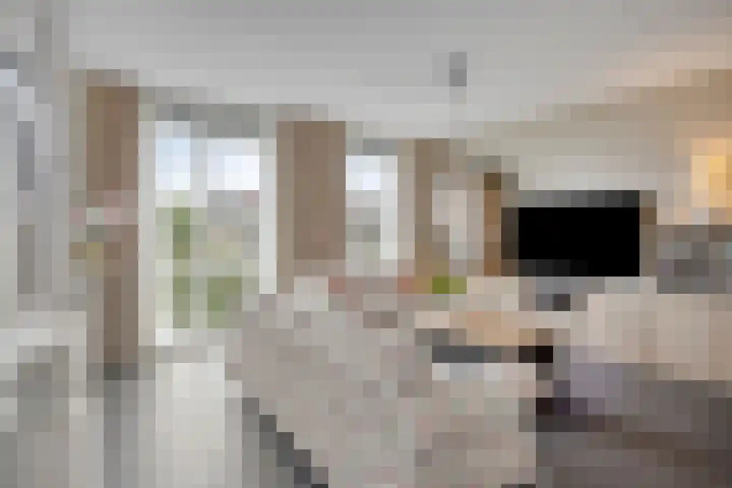 Beukenlaan 1 P Spijkenisse thumbnail 17