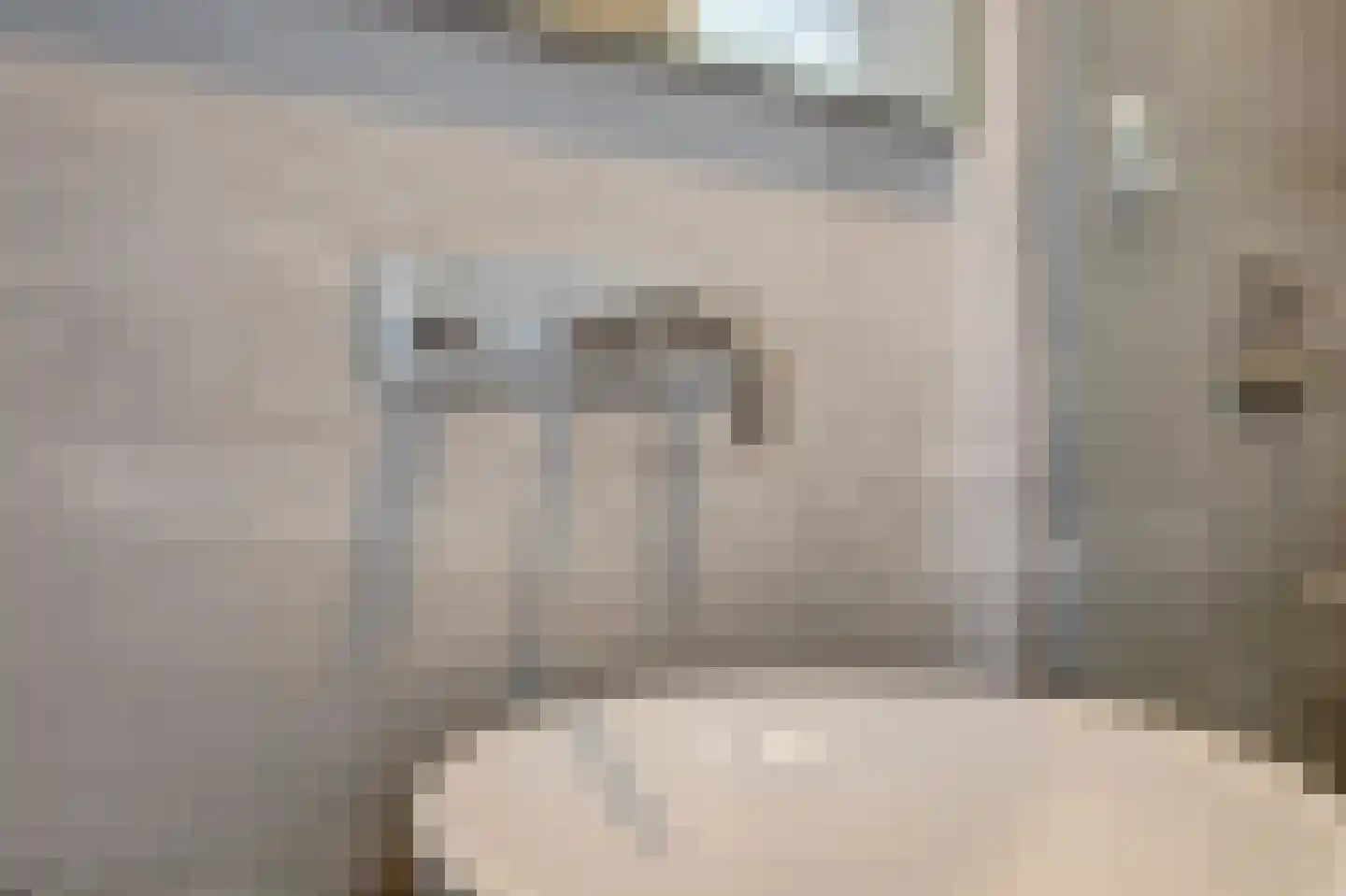 Beukenlaan 1 P Spijkenisse thumbnail 18