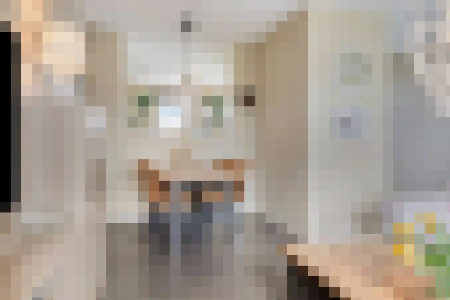 Beukenlaan 1 P Spijkenisse thumbnail 18