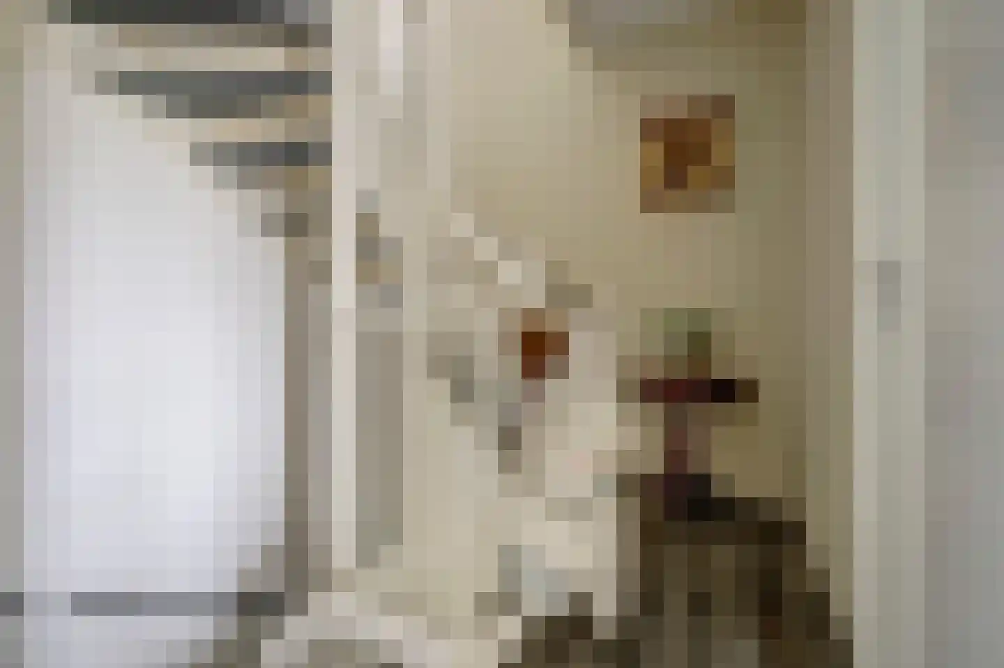 Beukenlaan 1 P Spijkenisse thumbnail 21