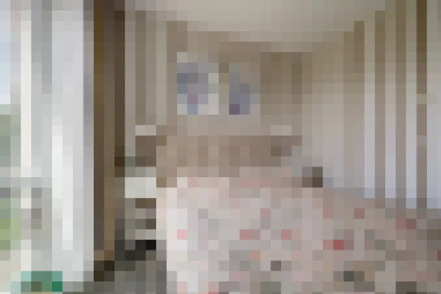 Beukenlaan 1 P Spijkenisse thumbnail 22