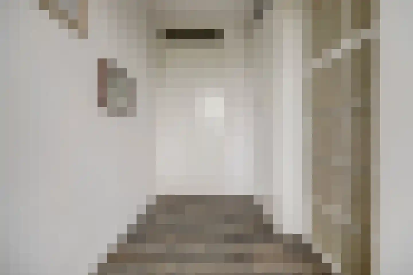 Beukenlaan 1 P Spijkenisse thumbnail 25