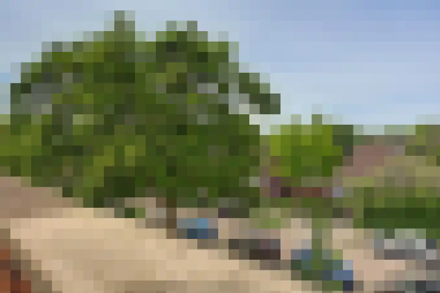 Beukenlaan 1 P Spijkenisse thumbnail 29
