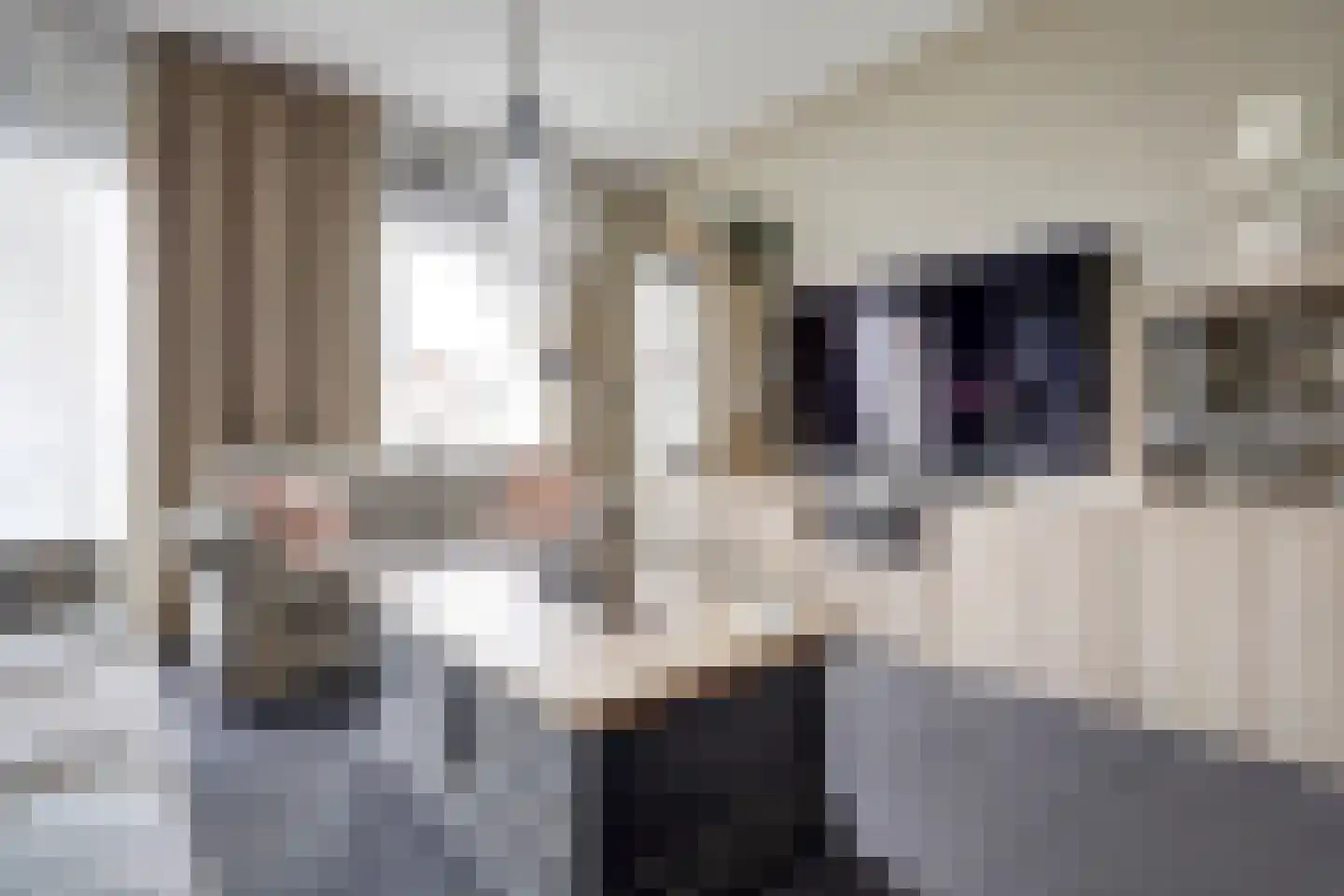 Beukenlaan 1 P Spijkenisse thumbnail 9