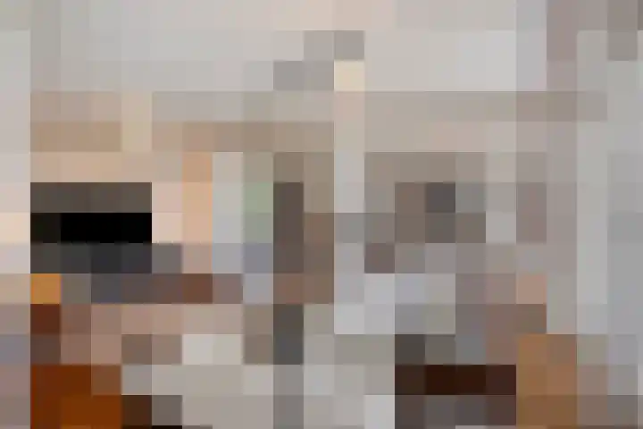 Beukenlaan 1 Rosmalen thumbnail 12