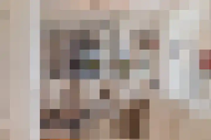 Beukenlaan 1 Rosmalen thumbnail 15
