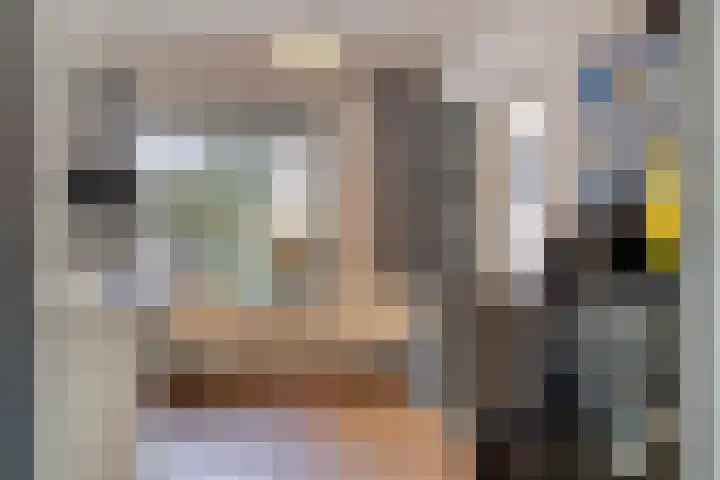 Beukenlaan 1 Rosmalen thumbnail 19
